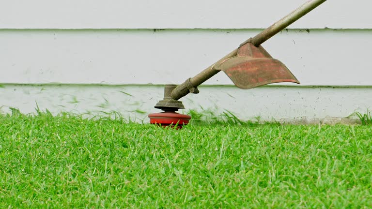 Best Grass Overseeding  in Falmouth, VA
